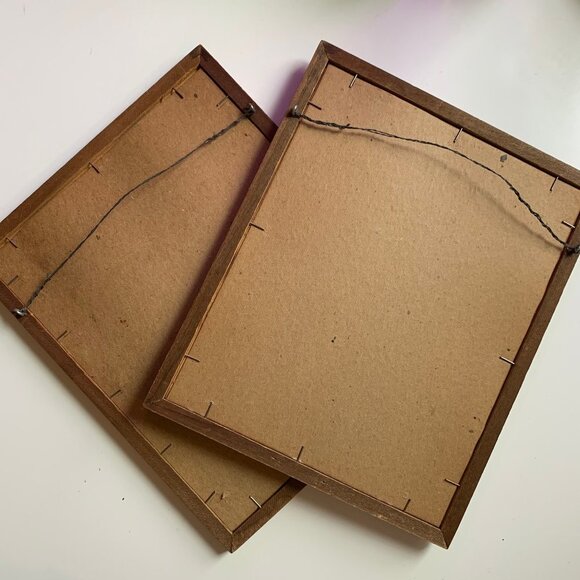 Vintage Framed Bird Book Plates - Picture 9 of 9